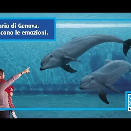 Aquarius Genova